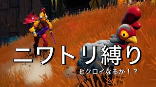 ニワトリ縛りでフォートナイトやってみたww