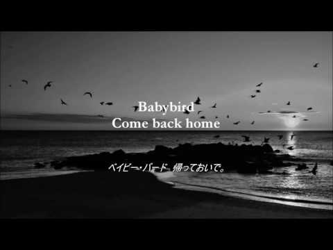 Babybird video thumbnail
