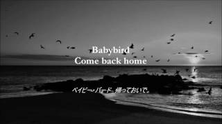 The Wallflowers   Babybird lyric video 日本語