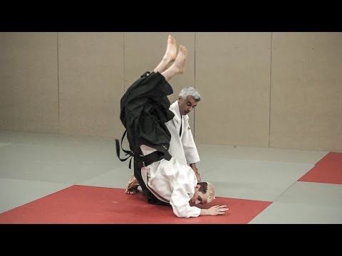 Aikido: Bruno GONZALEZ Summer Seminar 2014