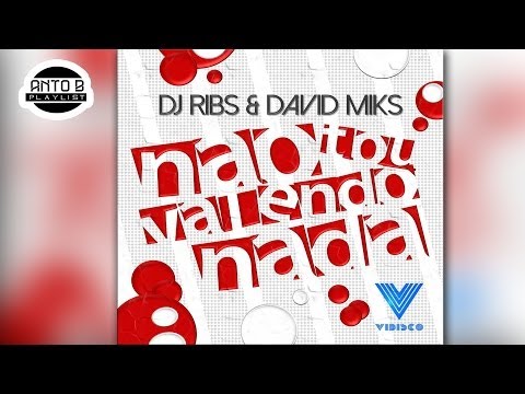 DJ Ribs Ft. David Miks - Nao To Valendo Nada ♪ (Verao 2014)