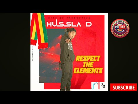 Hussla D — Respect The Elements | Reggae Vibes 2025