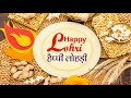 Happy Lohri Status 2026 हैप्पी लोहड़ी Lohri 2026 Lohri Whatsapp Status Happy