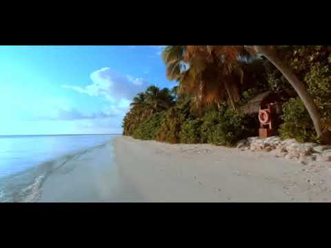 Zac F -  A World With No Problems