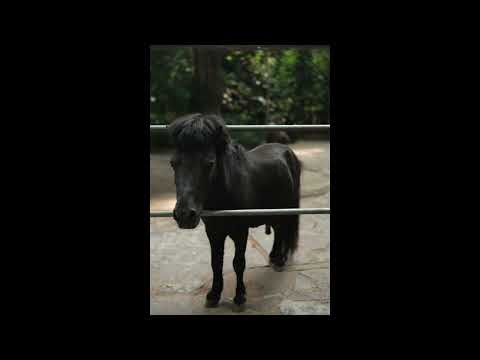 Mad Sounds 00 - Melodic techno/Progressive house