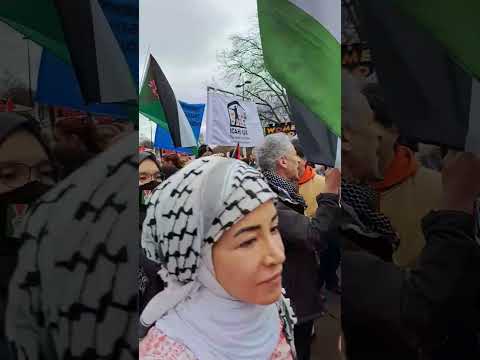 View video here