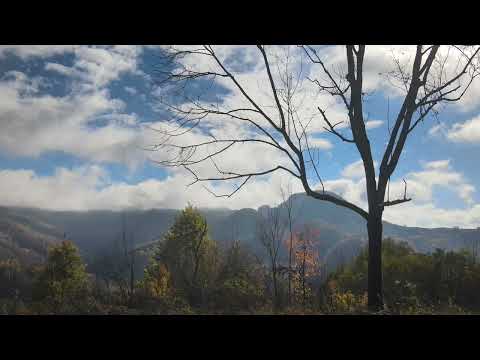 Toamna in Apuseni-Tomnatec