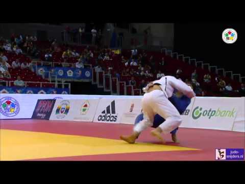 Judo 2014 Grand Prix Budapest: Scvortov (UAE) - Shavdatuashvili (GEO) [-73kg] final