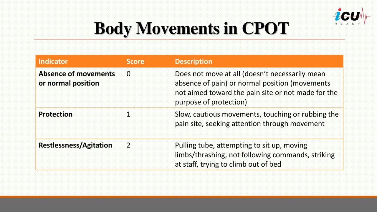 Pain Assessment in the ICU