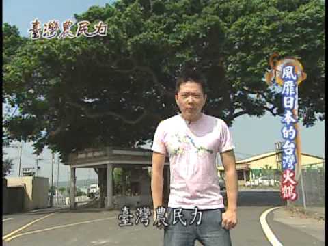 台灣農民力-第005集 花 卉