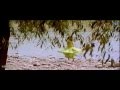 Pachai Nirame Alaipayuthey Kenadit Vavuniya Blu Ray 1080p DTS