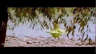 Pachai Nirame .. Alaipayuthey, (Kenadit Vavuniya) Blu Ray 1080p DTS. Pachai Nirame .. Alaipayuthey, (Kenadit Vavuniya) Blu Ray 1080p DTS.
