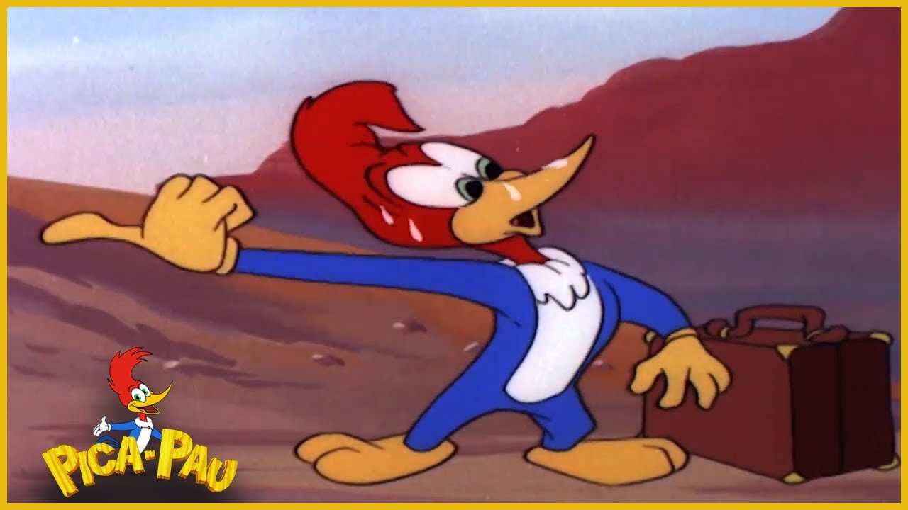 Pica-Pau em Português | Embuste de estágio | Desenhos para crianças