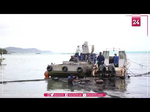 People arrive en masse in bid to limit oil spill threatening Mauritius
