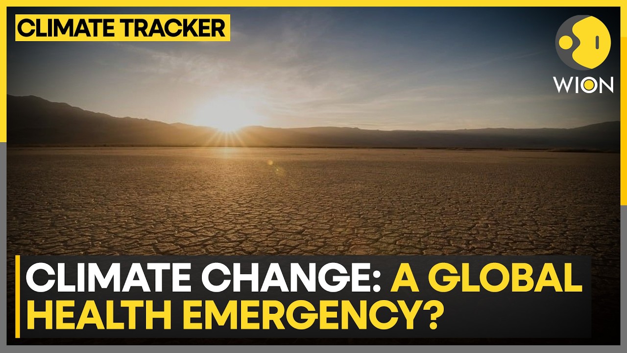 Climate Change: Heat-Related Deaths Rising Across The World | WION Climate Tracker
