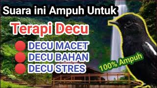 Download lagu TERAPI DECU MACET BUNYI | BIKIN DECU GACOR DOR | BURUNG DECU 23 mp3