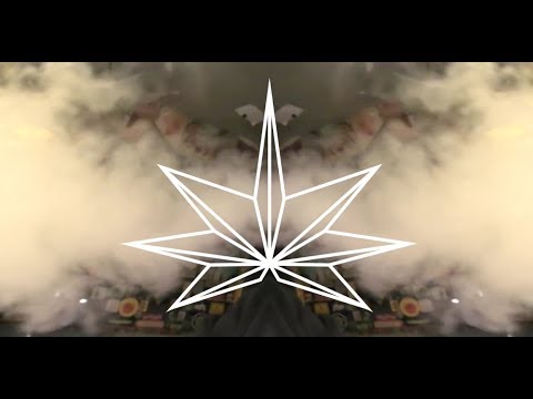 The Bluntskins - Up High (Official Video)