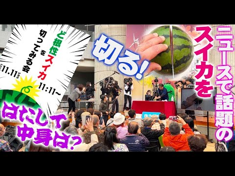 園芸 カナダの連帯、カナダのアキノキリンソウ