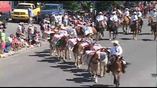preview picture of video '2012 Livingston Roundup Rodeo Parade (Highlights)'