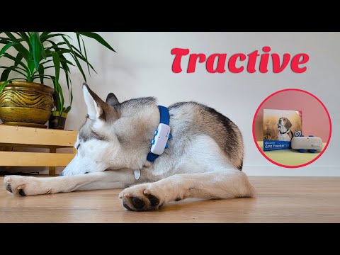 Tractive GPS tracker - everything you need to know in 2 minutes