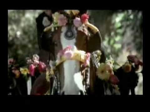 Budweiser - Clydesdale Generations Super Bowl XLIII Commercial 2009
