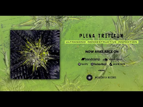 EP Ultrasonic Nondestructive Inspection 02- Plena Triticum -  -273.15 (195 BPM) Metacortex Records