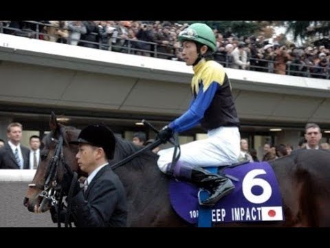 2006 Japan Cup G1 - Deep Impact (大震撼) - Y.Take
