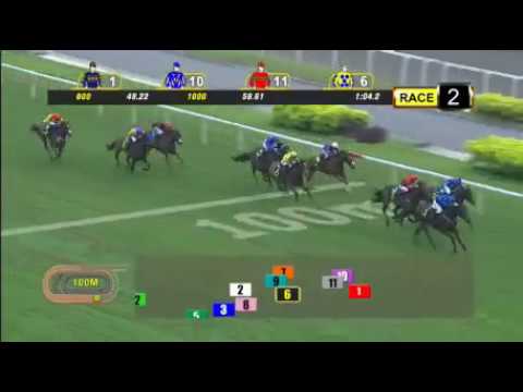 Singapore 20171022 Race 2 LIM'S PERSHING & LITTLE MASTER dead heat
