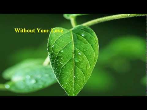 Roger Daltrey - Without Your Love [w/ lyrics]