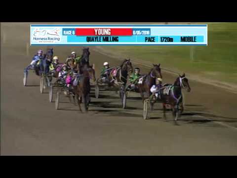 YOUNG - 06/05/2016 - Race 6 - QUAYLE MILLING STAKES