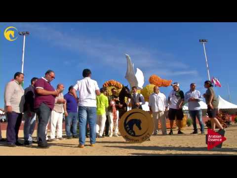 3 rd place, N.129 VAN GOGH AM - MENTON 2017 - Senior Male Championship (Class 16)