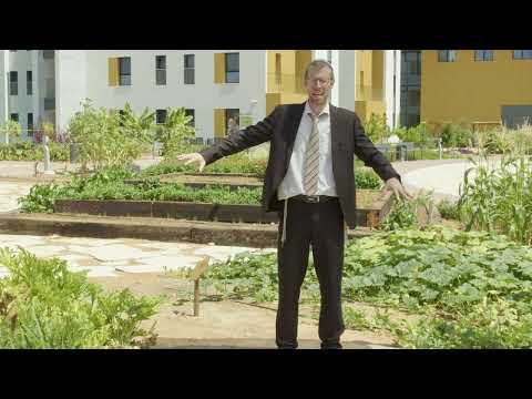 Gan HaMitzvot#8- In the Field – Kilei zeraim