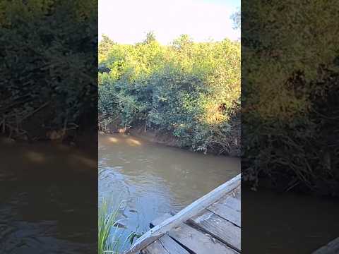 Rio Salobro  - Varjão GO  #varjaogo #riosalobro #goias varjaogoias