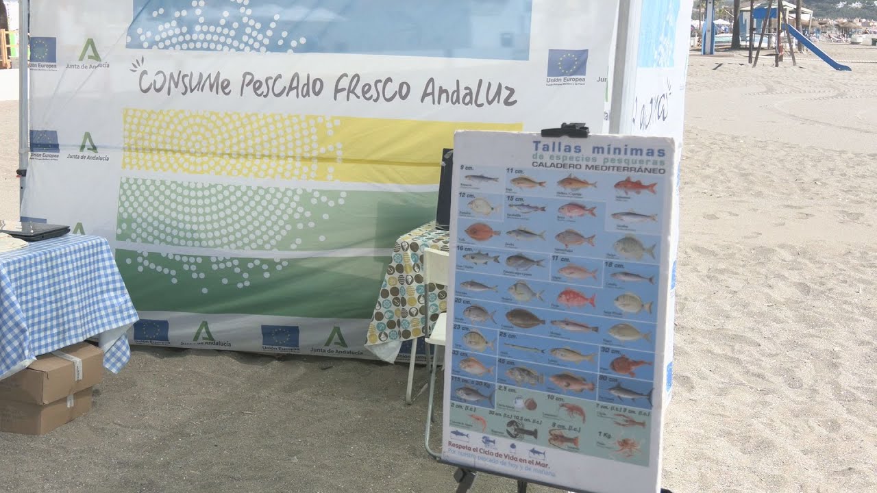 Campaña “Consume pescado fresco andaluz”