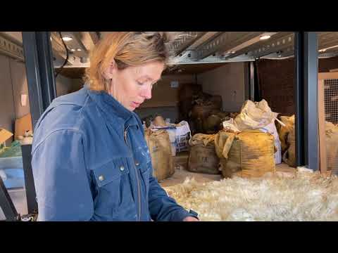 instructiefilmpje sorteren vacht ( skirten)  The Knitwit Stable