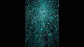 Max Richter - Tom's Lullaby