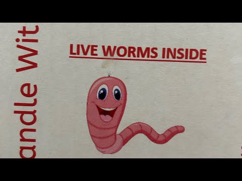 Various #stages of #red #wiggler #Worm #composting