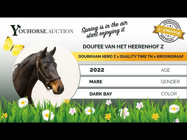 Doufee van het Heerenhof Z