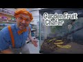Blippi Visits The Zoo Learning Animals For Kids Educational Videos For Children