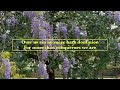 TURN YOUR EYES-( lyric video) song by - Jadon Lavik
