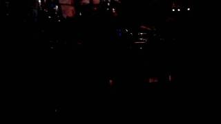 Koala.. negro invierno