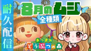 【最長24時間】残り4種！8月の虫全種類捕獲するまで終われません！【あつまれどうぶつの森】【生配信】