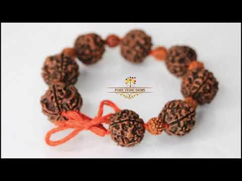 5 Mukhi Rudraksha Bracelet video