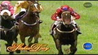 2000 VRC Emirates Legends Race