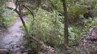 preview picture of video 'Temescal Canyon in Pacific Palisades, California, Skull Rock with rattlesnake on trail'