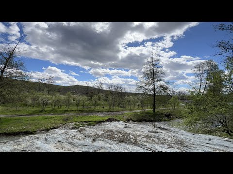 Radimna -Caraș Severin