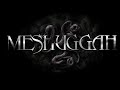 MESHUGGAH - RE-INANIMATE