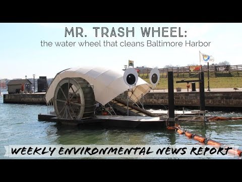Baltimore water wheel removes trash from river | greenversal