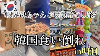 【韓国2024】アラサー母の子なし旅🇰🇷｜明洞で食い倒れ！底なしの胃袋、限界に挑む