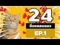 ชื่อฟีฟายเท่ๆ